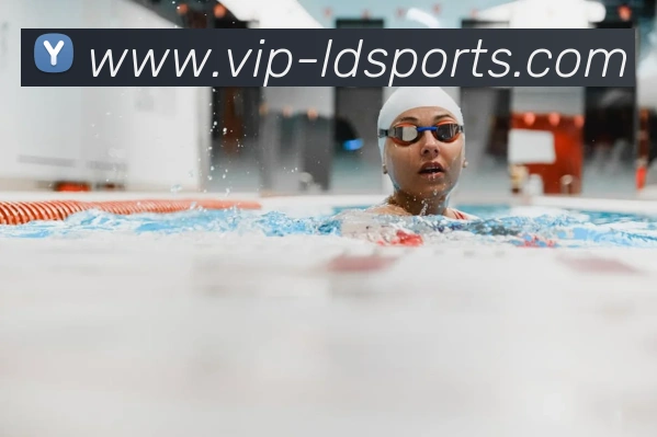 体育下注平台生态图