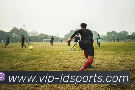 体育下注全站App