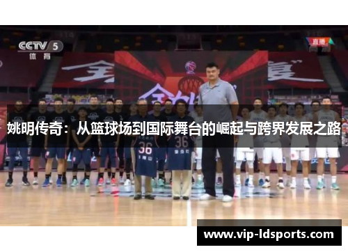 姚明传奇：从篮球场到国际舞台的崛起与跨界发展之路