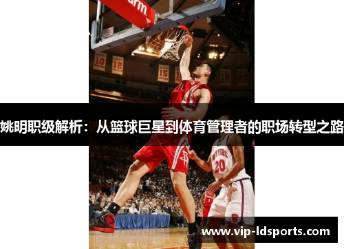 姚明职级解析：从篮球巨星到体育管理者的职场转型之路