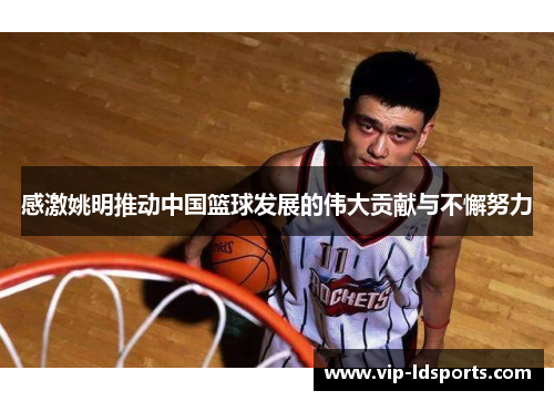 感激姚明推动中国篮球发展的伟大贡献与不懈努力