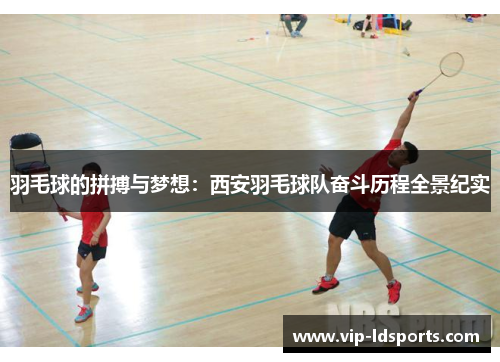 羽毛球的拼搏与梦想：西安羽毛球队奋斗历程全景纪实